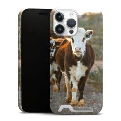 Premium Card Case matt