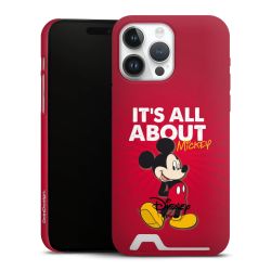 Premium Card Case matt