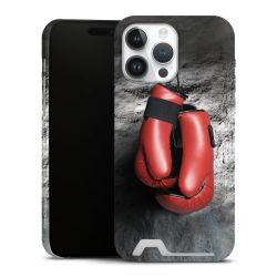 Premium Card Case matt