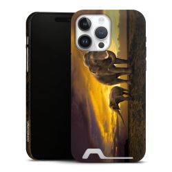 Premium Card Case matt