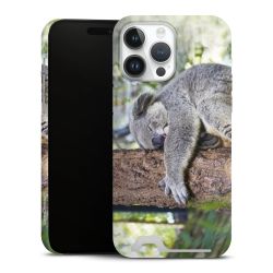 Premium Card Case matt