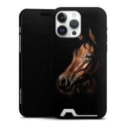 Premium Card Case matt