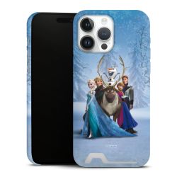 Premium Card Case matt