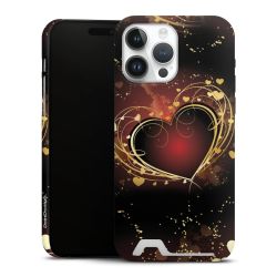 Premium Card Case matt