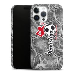 Premium Card Case matt