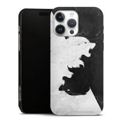 Premium Card Case matt