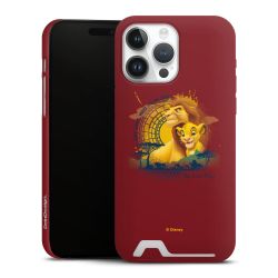 Premium Card Case matt