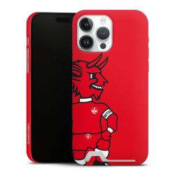 Premium Card Case matt