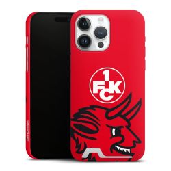 Premium Card Case matt