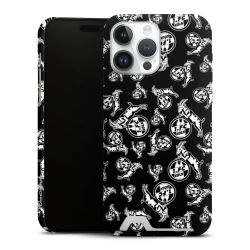 Premium Card Case matt