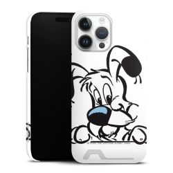 Premium Card Case matt