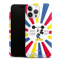 Premium Card Case matt