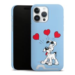 Premium Card Case matt