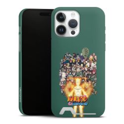 Premium Card Case matt