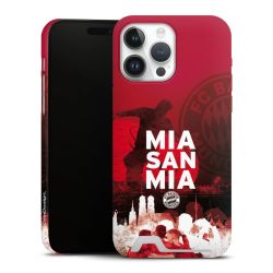 Premium Card Case matt