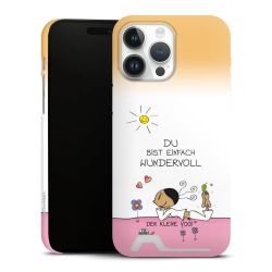 Premium Card Case matt