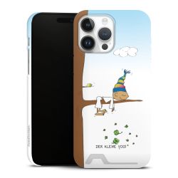 Premium Card Case matt