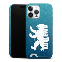 Premium Card Case matt