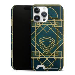 Premium Card Case matt