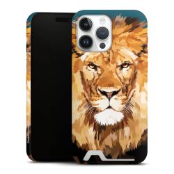 Premium Card Case matt