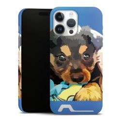 Premium Card Case matt