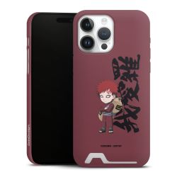 Premium Card Case matt