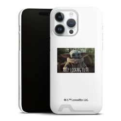 Premium Card Case matt