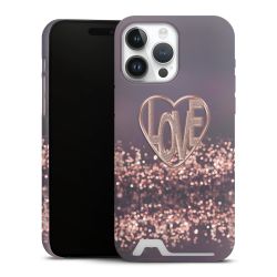 Premium Card Case matt