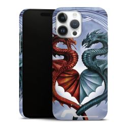 Premium Card Case matt