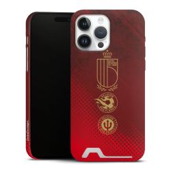 Premium Card Case matt