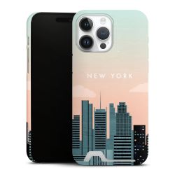 Premium Card Case matt