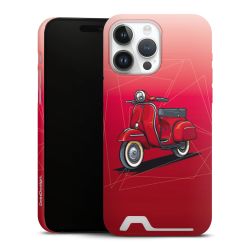 Premium Card Case matt