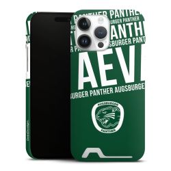 Premium Card Case matt