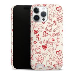 Premium Card Case matt