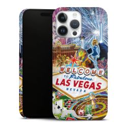 Premium Card Case matt