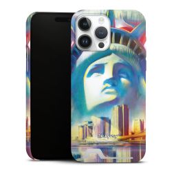 Premium Card Case matt