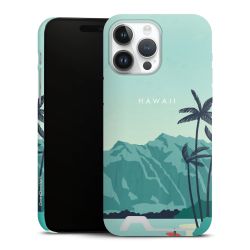 Premium Card Case matt