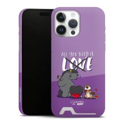 Premium Card Case matt