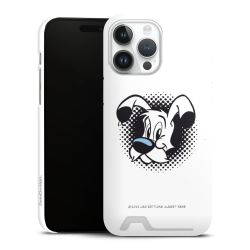 Premium Card Case matt