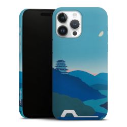 Premium Card Case matt