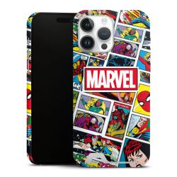 Premium Card Case matt