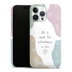 Premium Card Case matt