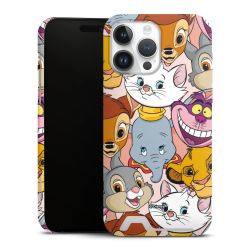 Premium Card Case matt