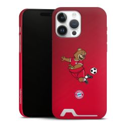 Premium Card Case matt