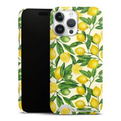 Premium Card Case matt