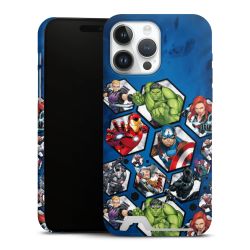 Premium Card Case matt