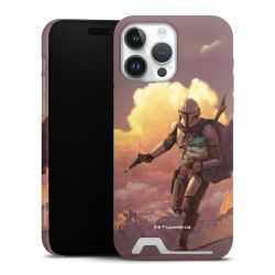 Premium Card Case matt