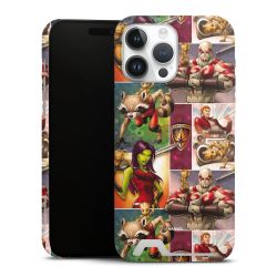 Premium Card Case matt