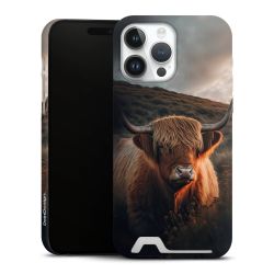 Premium Card Case matt