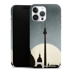 Premium Card Case matt